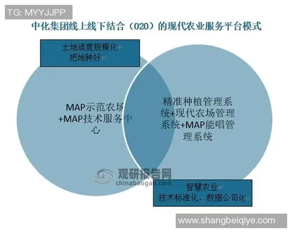独家解析全球LNG市场力量对比及未来发展趋势分析