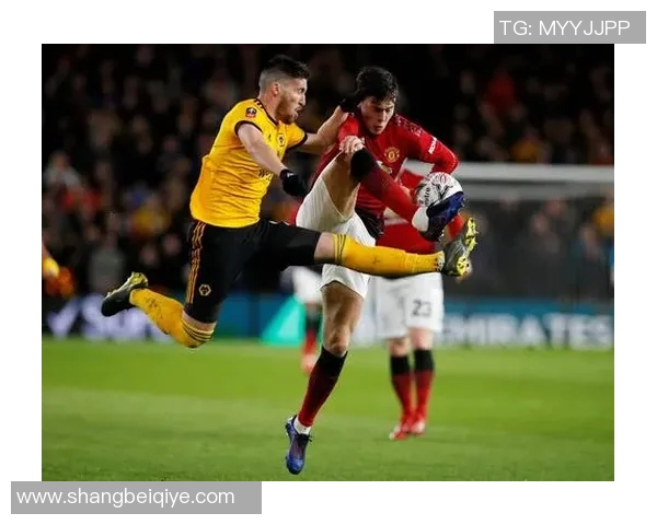 瓦伦西亚签下巴塞尔后卫,引援猛增阵容深厚