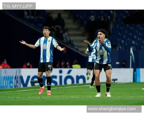 西班牙足球球队技术表现的深度数据分析与战术探讨